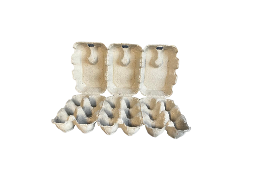 Boîtes à œufs en cellulose moulée 3x6 Pick&Pack M/L