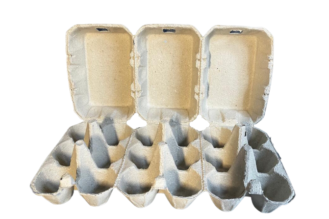 Boîtes à œufs en cellulose moulée 3x6 Pick&Pack XL